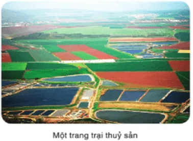 Phép mầu trên sa mạc lớp 3 | Tiếng Việt lớp 3 Cánh diều Phep Mau Tren Sa Mac Trang 27 28 29 130197