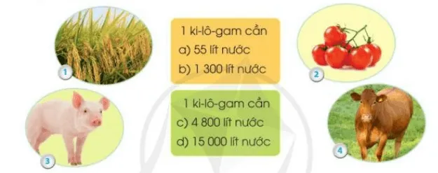 Tiết kiệm nước trang 84, 85 Tiếng Việt lớp 3 Tập 2 Cánh diều Trao Doi Tiet Kiem Nuoc Trang 84 85 130336