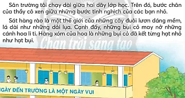 Hoa cỏ sân trường lớp 3 | Tiếng Việt lớp 3 Chân trời sáng tạo Hoa Co San Truong Trang 36 37 128358