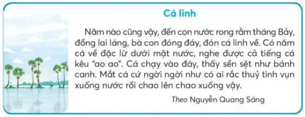 Tiết 2 trang 71, 72 Tiếng Việt lớp 3 Tập 2 | Chân trời sáng tạo Tiet 2 Trang 71 72 131041