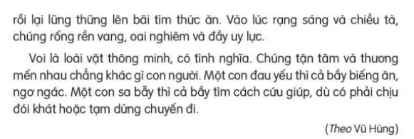 Đọc: Bầy voi rừng Trường Sơn trang 35, 36 Tiếng Việt lớp 3 Tập 2 | Kết nối tri thức Bai 8 Bay Voi Rung Truong Son 132754 