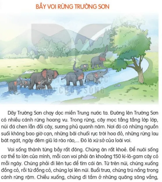 Đọc: Bầy voi rừng Trường Sơn trang 35, 36 Tiếng Việt lớp 3 Tập 2 | Kết nối tri thức Bai 8 Bay Voi Rung Truong Son 132757 