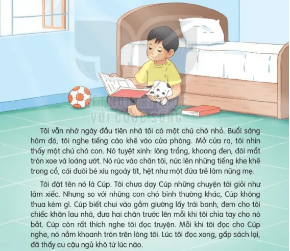 Đọc: Bạn nhỏ trong nhà | Tiếng Việt lớp 3 Kết nối tri thức Doc Ban Nho Trong Nha 131887