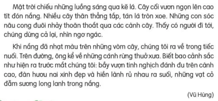 Đọc: Cánh rừng trong nắng lớp 3 | Tiếng Việt lớp 3 Kết nối tri thức Doc Canh Rung Trong Nang 131290 