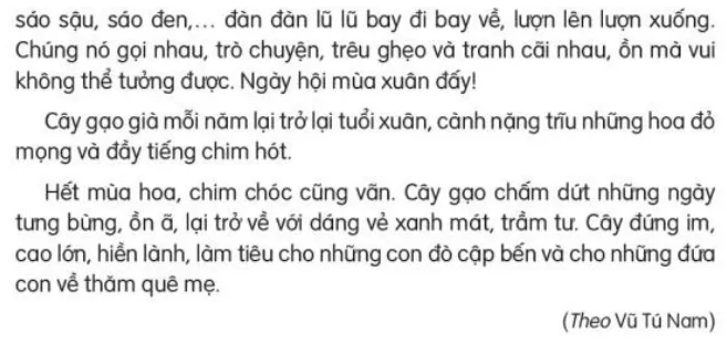 Đọc: Cây gạo trang 27, 28 Tiếng Việt lớp 3 Tập 2 | Kết nối tri thức Doc Cay Gao 132446 