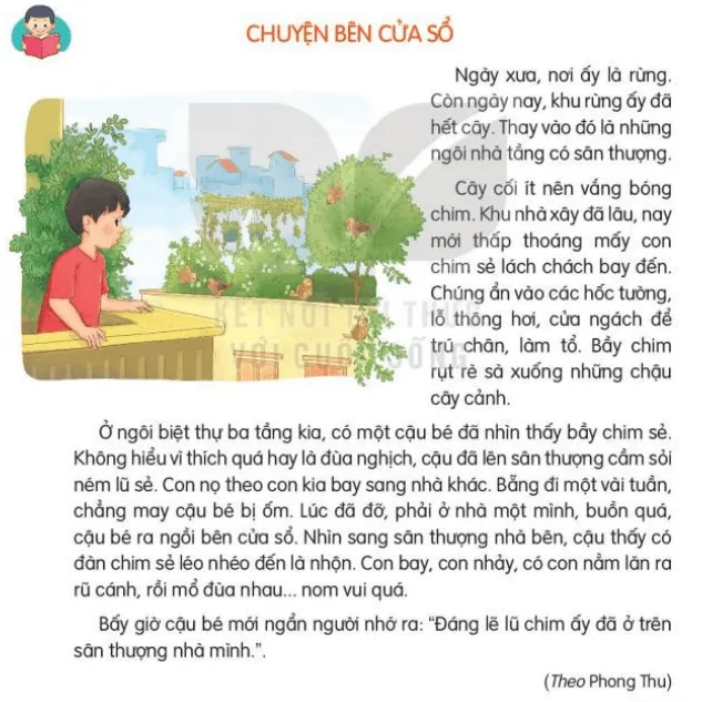Đọc: Chuyện bên của sổ trang 49, 50 Tiếng Việt lớp 3 Tập 2 | Kết nối tri thức Doc Chuyen Ben Cua So 132866 