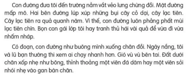 Đọc: Con đường đến trường lớp 3 | Tiếng Việt lớp 3 Kết nối tri thức Doc Con Duong Den Truong 131453 