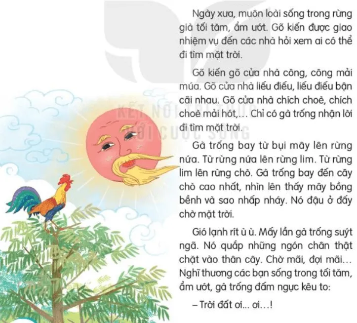 Đọc: Đi tìm mặt trời lớp 3 | Tiếng Việt lớp 3 Kết nối tri thức Doc Di Tim Mat Troi 131936 
