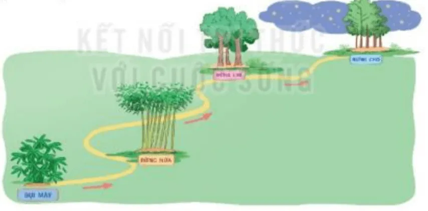 Đọc: Đi tìm mặt trời trang 116, 117  Doc Di Tim Mat Troi 131937