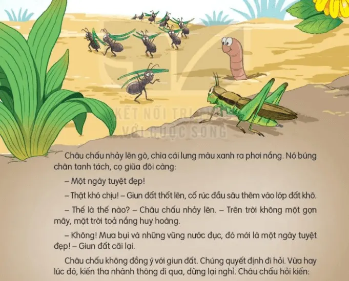 Đọc: Ngày như thế nào là đẹp? trang 63, 64 Tiếng Việt lớp 3 Tập 2 | Kết nối tri thức Doc Ngay Nhu The Nao La Dep 132957 