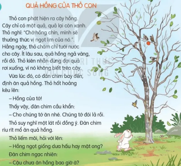 Đọc: Quả hồng của thỏ con trang 45, 46 Tiếng Việt lớp 3 Tập 2 | Kết nối tri thức Doc Qua Hong Cua Tho Con 132849 