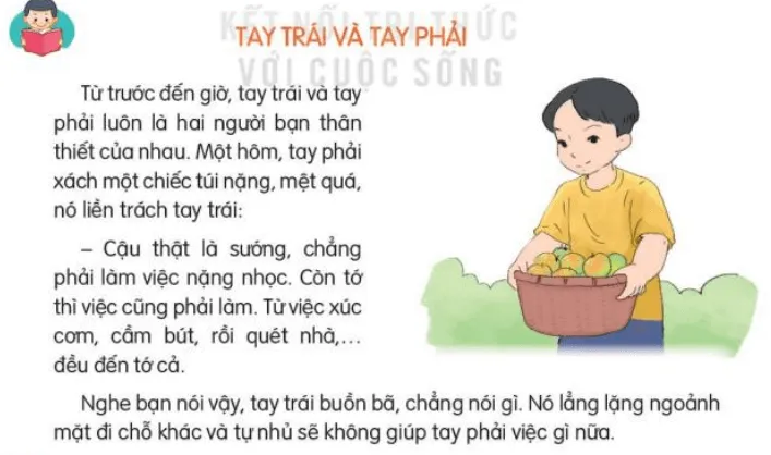 Đọc: Tay trái và tay phải trang 52, 53 Tiếng Việt lớp 3 Tập 2 | Kết nối tri thức Doc Tay Trai Va Tay Phai 132887 