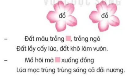 Viết trang 125, 126 Tiếng Việt lớp 3 Tập 1 | Kết nối tri thức Viet Trang 125 126 131958 