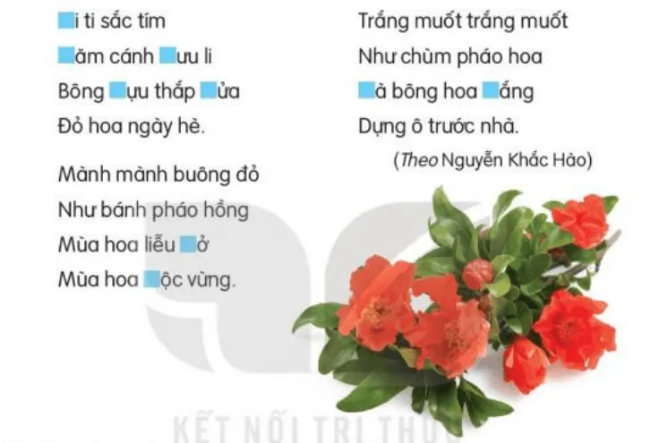 Viết trang 44 Tiếng Việt lớp 3 Tập 2 | Kết nối tri thức Viet Trang 44 132843 