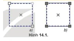 Quan sát hai hình chữ nhật ở Hình 14.1 và tìm ra điểm khác nhau giữa hai hình Hoat Dong 1 Trang 75 Tin Hoc 10