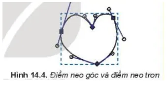 Quan sát hình trái tim xác định xem các điểm được đánh dấu nằm trên Hình 14.4 Hoat Dong 1 Trang 76 Tin Hoc 10