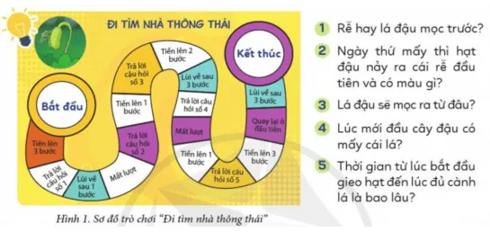 Tin học lớp 3 Bài 1: Máy tính giúp em quan sát hạt đậu nảy mầm trang 59, 60 | Cánh diều Bai 1 May Tinh Giup Em Quan Sat Hat Dau Nay Mam