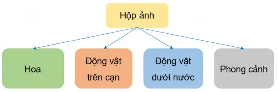 Tin học lớp 3 Bài 1: Sự cần thiết của sắp xếp trang 37, 38 | Cánh diều Bai 1 Su Can Thiet Cua Sap Xep 5