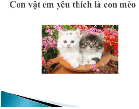 Tin học lớp 3 Bài 2: Thực hành: Nhiệm vụ và sản phẩm trang 70 | Cánh diều Bai 2 Thuc Hanh Nhiem Vu Va San Pham 2