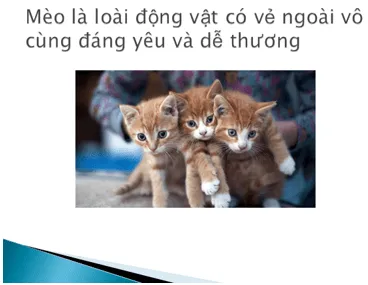 Tin học lớp 3 Bài 2: Thực hành: Nhiệm vụ và sản phẩm trang 70 | Cánh diều Bai 2 Thuc Hanh Nhiem Vu Va San Pham 3