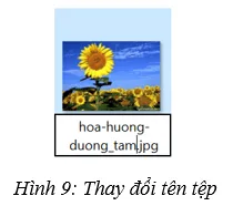 Đổi tên tệp, đổi tên thư mục Bai 4 Trang 20 Tin Hoc 7 Chan Troi