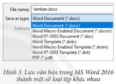 MS Word 2016 cho phép lưu văn bản thành một số loại tệp (type) khác nhau Luyen Tap 1 Trang 21 Tin Hoc 7 Chan Troi