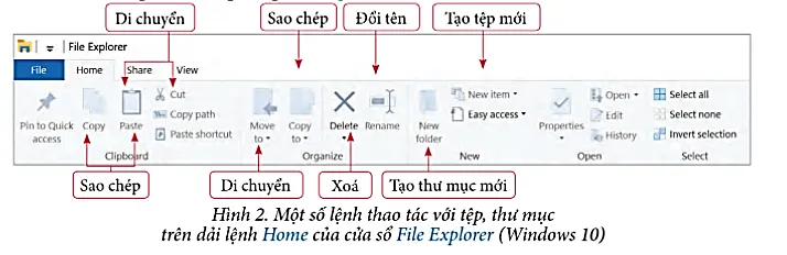Tìm hiểu mục lục sách giáo khoa Tin học 7 và thực hành tạo cây thư mục Thuc Hanh 2 Trang 16 Tin Hoc 7 Chan Troi