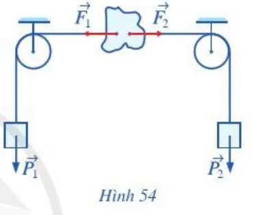 Trong Hình 54, hai ròng rọc có trục quay nằm ngang và song song với nhau, hai vật có trọng lượng Hoat Dong 4 Trang 85 Toan 10 Tap 1