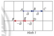 Cho vectơ a. Hãy xác định độ dài và hướng của hai vectơ (vectơ a + vectơ a), (- vectơ a) + (- vectơ a)  Hoat Dong Kham Pha 1 Trang 94 Toan 10 Tap 1