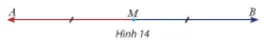 Cho điểm M là trung điểm của đoạn thẳng AB Hoat Dong Kham Pha 4 Trang 92 Toan 10 Tap 1