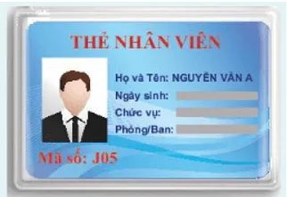 Hoạt động khởi động trang 20 Toán lớp 10 Tập 2 Chân trời sáng | Giải Toán lớp 10 Hoat Dong Khoi Dong Trang 20 Toan 10 Tap 2