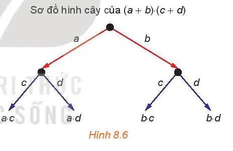 HĐ1 trang 72 Toán 10 Tập 2 | Kết nối tri thức Giải Toán lớp 10 Hd1 Trang 72 Toan 10 Tap 2