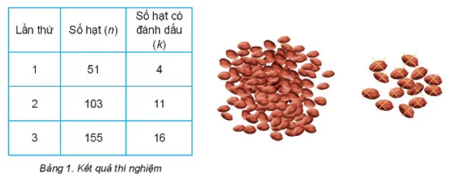 Trong tiết thực hành trải nghiệm của lớp 10A, tổ của Hà đã thực hiện các bước trên Hoat Dong 2 Trang 94 Toan 10 Tap 2