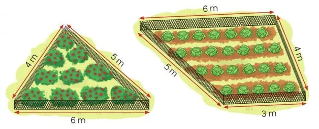 Toán lớp 3 trang 105, 106 Chu vi hình tam giác. Chu vi hình tứ giác | Cánh diều Chu Vi Hinh Tam Giac Chu Vi Hinh Tu Giac 125683