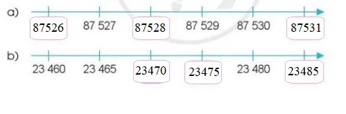 Toán lớp 3 trang 47, 48 Em ôn lại những gì đã học | Cánh diều Em On Lai Nhung Gi Da Hoc Trang 47 125882