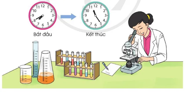 Toán lớp 3 trang 47, 48 Em ôn lại những gì đã học | Cánh diều Em On Lai Nhung Gi Da Hoc Trang 47 125888