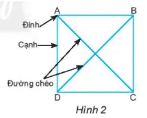 Dùng dụng cụ học tập để kiểm tra xem hai đường chéo AC và BD có bằng nhau Thuc Hanh 1 Trang 75 Toan Lop 6 Tap 1 Chan Troi