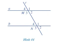 Quan sát Hình 44, biết a // b. So sánh góc M1 và góc N3 ; góc M4 và góc N2 A Sua Bai 1 Trang 104 Toan Lop 7 Tap 1 128556