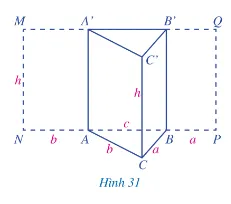 Quan sát hình lăng trụ đứng tam giác ABC.A'B'C' (Hình 31) A Sua Hoat Dong 8 Trang 84 Toan 7 Tap 1 128271