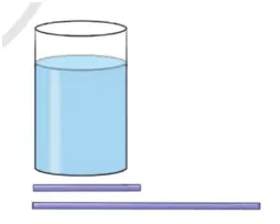 Bài 4 trang 99 Toán lớp 7 Tập 2 Cánh diều | Giải Toán lớp 7 Bai 4 Trang 99 Toan Lop 7 Tap 2