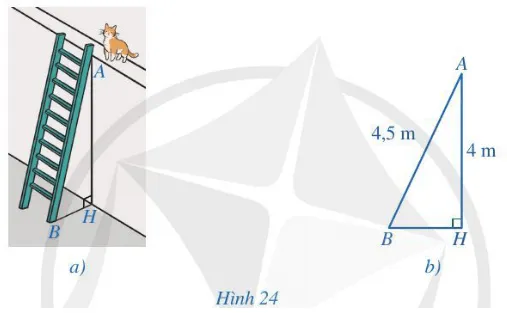 Bài 5 trang 77 Toán lớp 7 Tập 2 Cánh diều | Giải Toán lớp 7 Bai 5 Trang 77 Toan Lop 7 Tap 2