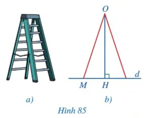 Bài 5 trang 99 Toán lớp 7 Tập 2 Cánh diều | Giải Toán lớp 7 Bai 5 Trang 99 Toan Lop 7 Tap 2