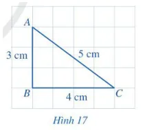 Hoạt động 1 trang 74 Toán lớp 7 Tập 2 Cánh diều | Giải Toán lớp 7 Hoat Dong 1 Trang 74 Toan 7 Tap 2