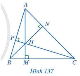 Hoạt động 2 trang 117 Toán lớp 7 Tập 2 Cánh diều | Giải Toán lớp 7 Hoat Dong 2 Trang 117 Toan 7 Tap 2