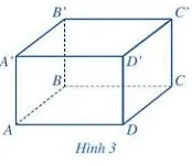 Quan sát hình hộp chữ nhật ở Hình 3 và đọc tên các mặt, các cạnh, các đỉnh Hoat Dong 2 Trang 76 Toan 7 Tap 1 128113