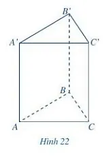 Quan sát lăng trụ đứng tam giác ở Hình 22 và đọc tên các mặt, các cạnh, các đỉnh của lăng trụ đứng tam giác đó Hoat Dong 2 Trang 82 Toan 7 Tap 1 128266