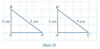 Hoạt động 2 trang 82 Toán lớp 7 Tập 2 Cánh diều | Giải Toán lớp 7 Hoat Dong 2 Trang 82 Toan 7 Tap 2