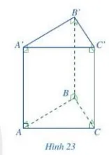 Quan sát lăng trụ đứng tam giác ABC.A'B'C' ở Hình 23 và cho biết: Đáy dưới ABC Hoat Dong 3 Trang 82 Toan 7 Tap 1 128267