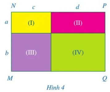 Tính diện tích mỗi hình chữ nhật (I), (II), (III), (IV) Hoat Dong 4 Trang 61 Toan 7 Tap 2