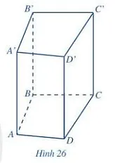 Quan sát lăng trụ đứng tứ giác ở Hình 26 và đọc tên các mặt, các cạnh, các đỉnh Hoat Dong 5 Trang 83 Toan 7 Tap 1 128269